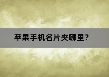 苹果手机名片夹哪里? 苹果手机名片夹哪里?-图片2